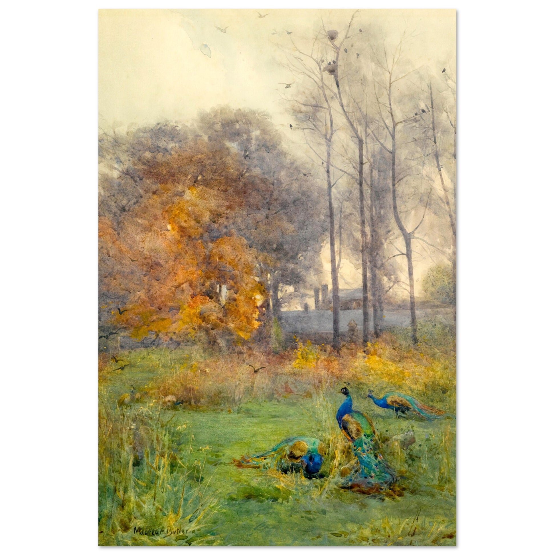 1896ca7e-acf7-4658-b9e6-9fc465172b45