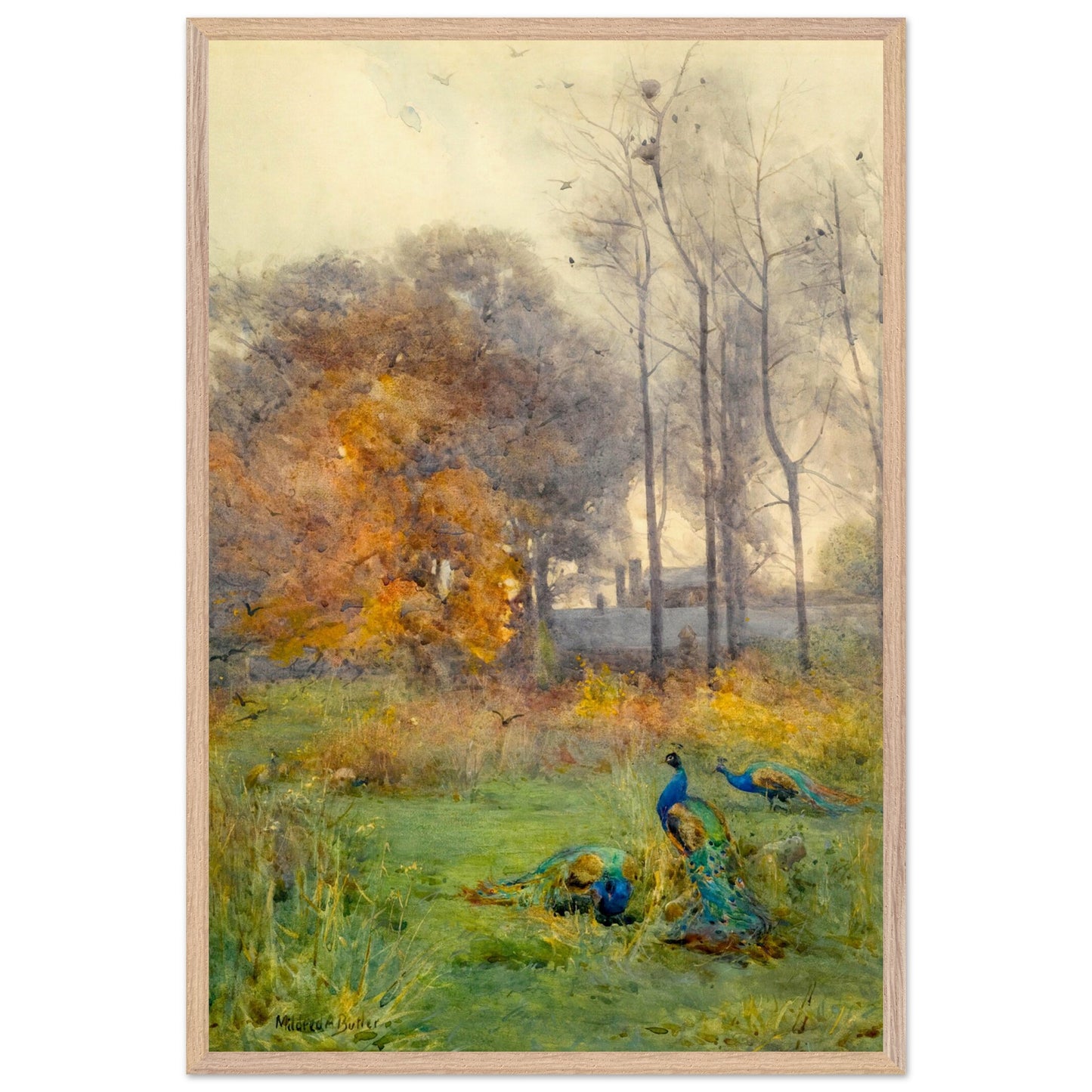 209f8ca4-34fa-46bb-8b75-9aaadfb46246