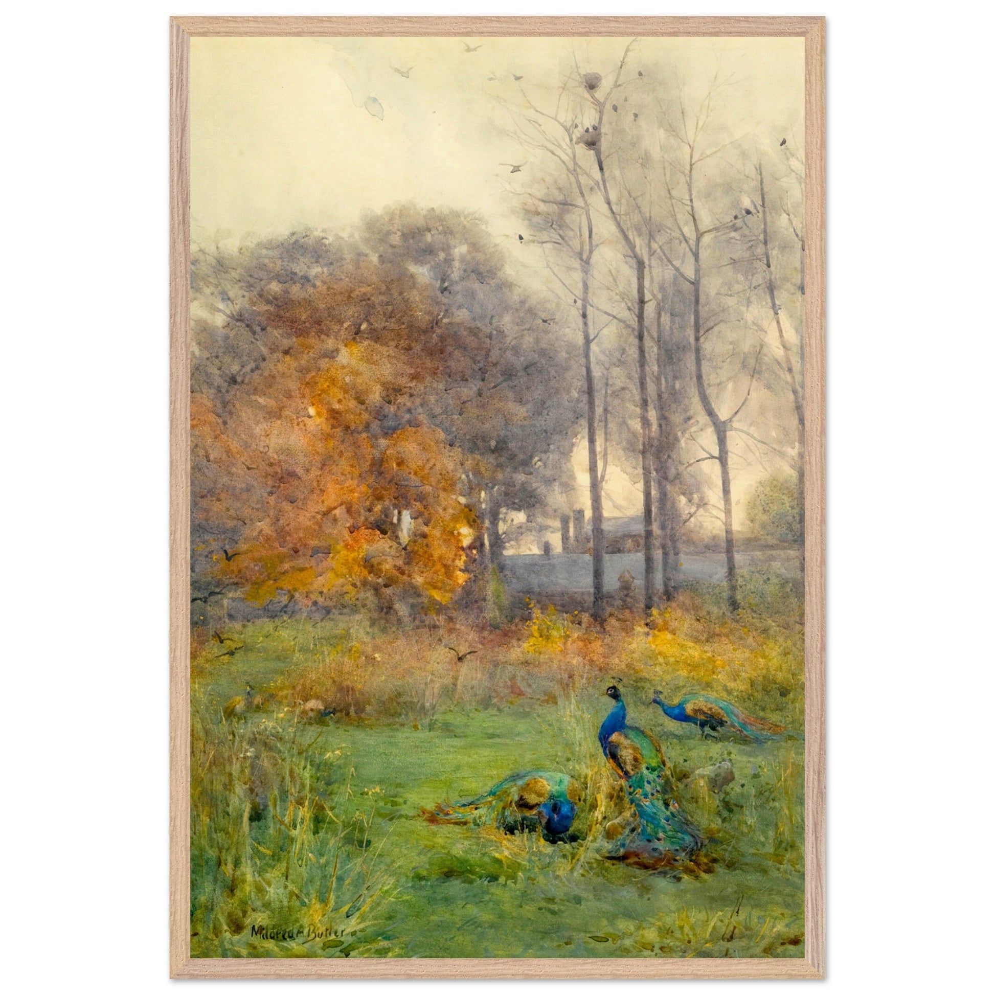 209f8ca4-34fa-46bb-8b75-9aaadfb46246